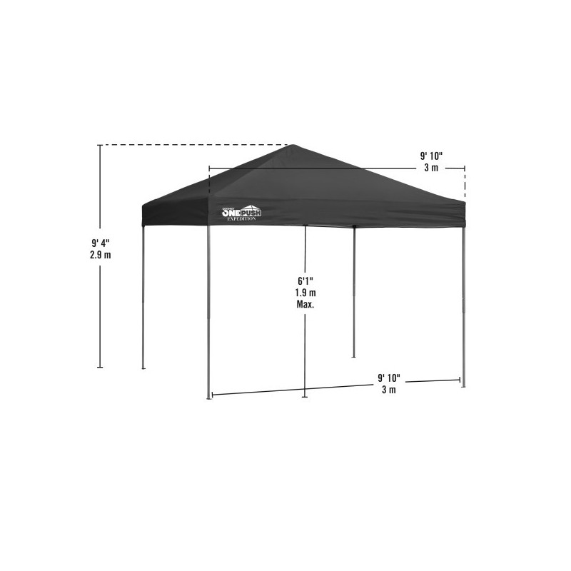 Canopy 2024 tent 8x10