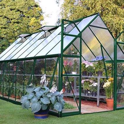 Palram 8x16 Balance Hobby Greenhouse Kit - Green (HG6116G) Great place to store your flowers and plants. 