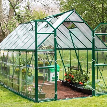 Palram 8x20 Balance Hobby Greenhouse Kit - Green (HG6120G) You can grow an environment of plants like vegetables and herbs.  