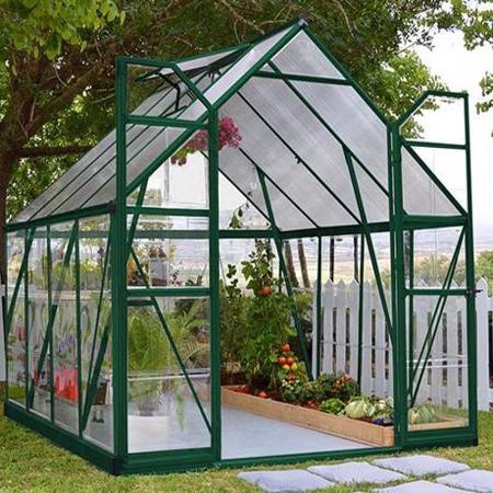 Palram 8x8 Balance Hobby Greenhouse Kit - Green (HG6108G) Protects your plants from the wind,rain, and other elements.